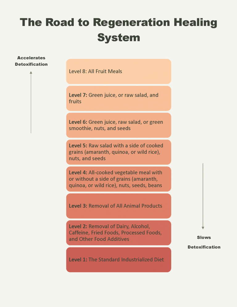 How to Transform Yourself with The Road to Regeneration Healing System