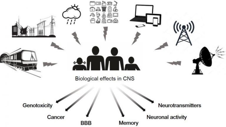 Why I Will Never Drive a Tesla – nnEMF Exposure and Toxicity (Part 1)