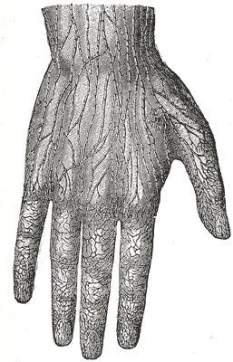 Your Body Is Amazing Part 5: Cell Healing, Redox, & Detox Pathways