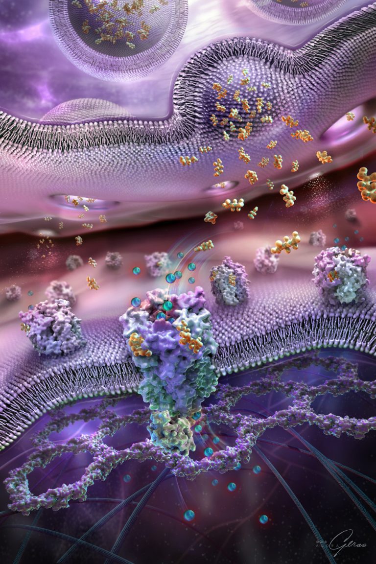 Get to Know Your Neurotransmitters (and how to get them working for you)
